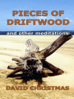 Pieces of Driftwood and other meditations
