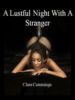 A Lustful Night With A Stranger