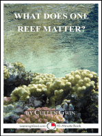 What Does One Reef Matter?