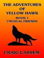 The Adventures of Yellow Hawk