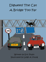 Digweed, the Cat A Bridge Too Far