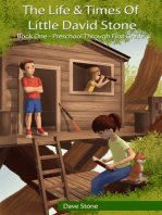 The Life & Times of Little David Stone: Book One - Preschool Through First Grade