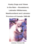 Husky Dogs and Views in the Nain