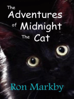 Adventures of Midnight the Cat