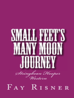 Small Feet's Many Moon Journey: Stringbean Hooper Western