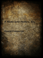 A Wide and Hollow Sky