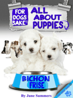 All About Bichon-Frise Puppies