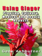 Using Ginger