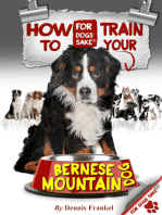 How to Train Your Bernese Mountain Dogs