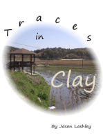 Traces in Clay