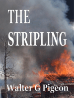 The Stripling