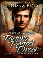 Picture Perfect Dream (Angel-at-Law 1)