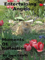 Entertaining Angels ~ Moments of Reflection