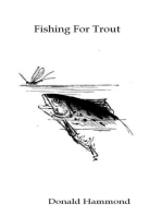 Fishing For Trout