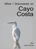 What I Discovered on Cayo Costa