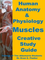 Human Anatomy & Physiology: Muscles