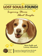 Lost Souls: FOUND! Inspiring Stories About Beagles