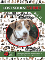 Lost Souls: FOUND! Inspiring Stories About Dogs, Vol. II