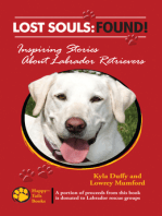 Lost Souls: Found! Inspiring Stories about Labrador Retrievers