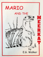 Mario and the Meerkat