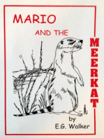 Mario and the Meerkat