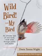 Wild Bird!: My Bird