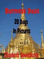 Burmese Daze