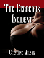 The Cerberus Incident