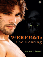 Werecat: The Rearing