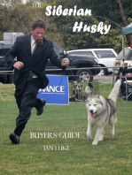 The Siberian Husky Buyer's Guide