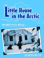 Little House in the Arctic