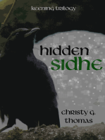 Hidden Sidhe