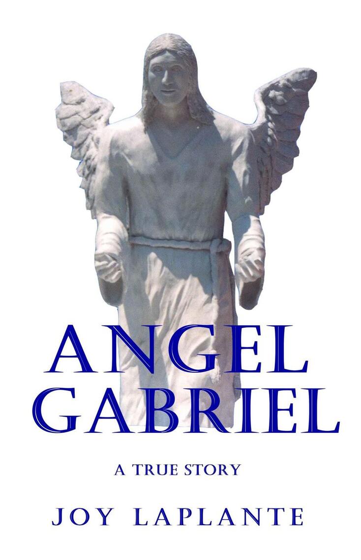 Angel Gabriel - A True Story by Joy LaPlante (Ebook) - Read free for 30 ...
