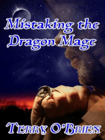 Mistaking the Dragon Mage