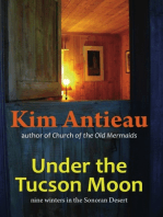 Under the Tucson Moon