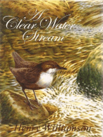 A Clear Water Stream: Henry Williamson Collections, #11