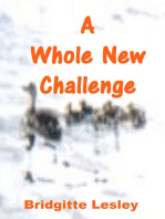 A Whole New Challenge