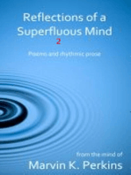 Reflections of a Superfluous Mind 2