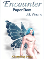 Encounter: Paper Dom