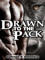 Drawn to the Pack