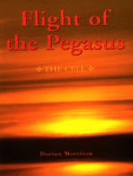 Flight of the Pegasus