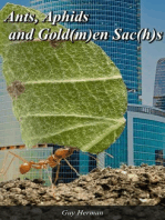 Ants, Aphids and the Gold(m)an Sac(h)s
