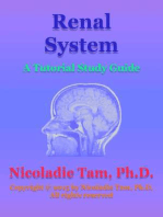 Renal System: A Tutorial Study Guide