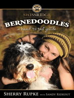 Bernedoodles