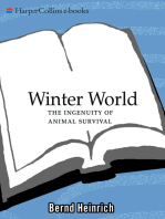 Winter World: The Ingenuity of Animal Survival