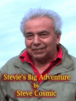 Stevie's Big Adventure
