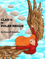Class 11 in Polar Rescue