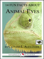 14 Fun Facts About Animal Eyes; Educational Version