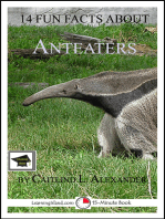 14 Fun Facts About Anteaters, Educational Version