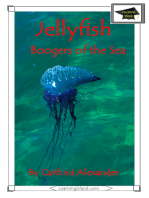 Jellyfish